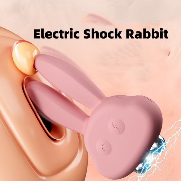 Electric-shock-Rabbit-BDSM-For-Beginners 11