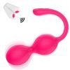 AUB-3003 Dumbbell 10 Function Remote Control Kegel Ball-1 1