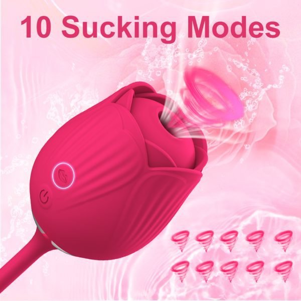 AUB-3009 Wild Rose-10 Function 2-in-1 Rose Vibrator-detail 1