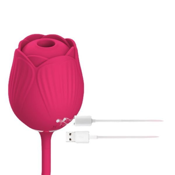 AUB-3009 Wild Rose-10 Function 2-in-1 Rose Vibrator-detail-2